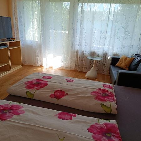 Offenburg Apartment Экстерьер фото