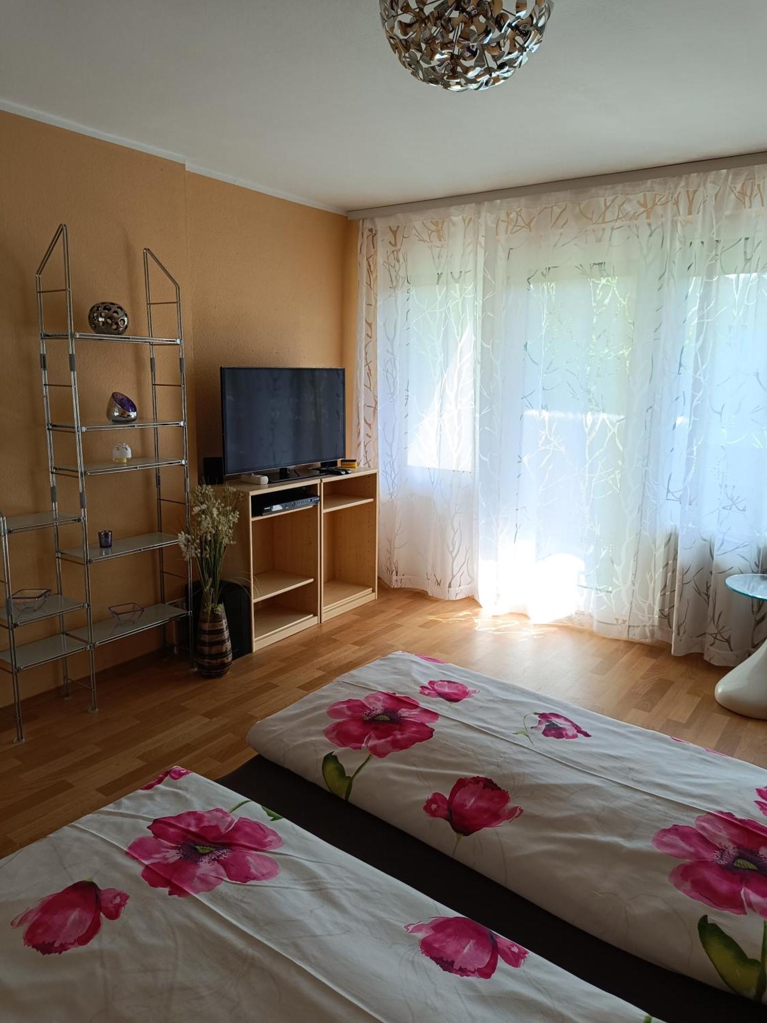 Offenburg Apartment Экстерьер фото